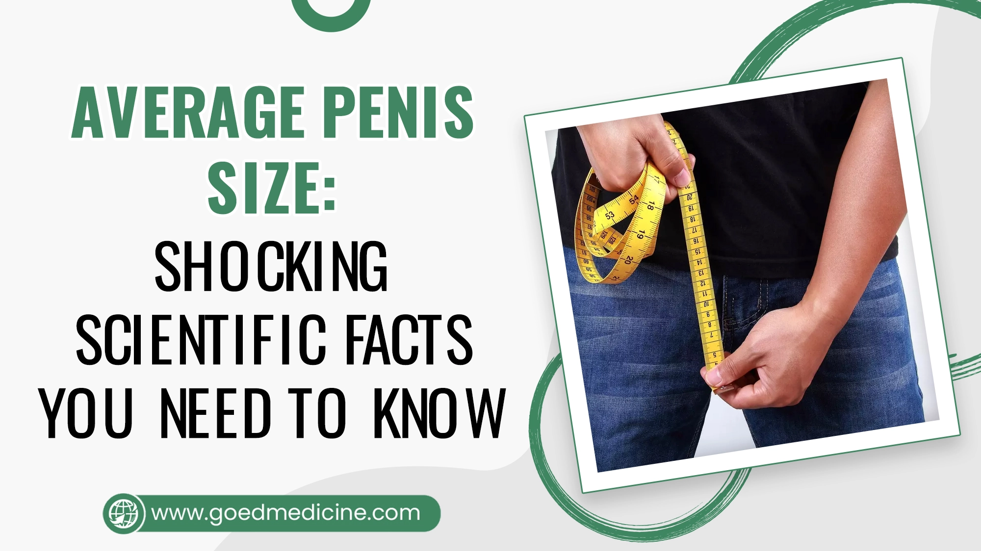 Average Penis Size Shocking Scientific Facts You Need to Know